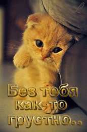 Открытки жду тебя Открытки я жду тебя gif. Открытки возвращайся скорее скачать бесплатно.