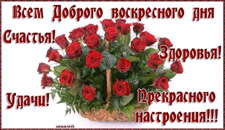 Открытки на воскресенье Мерцающие открытки про воскресенье. Открытки на воскресное утро.