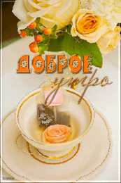 Открытки с добрым утром Открытка с пожеланиями доброго утра на каждый день скачать бесплатно 