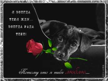 Открытки жду тебя Открытки я жду тебя gif. Открытки возвращайся скорее скачать бесплатно.