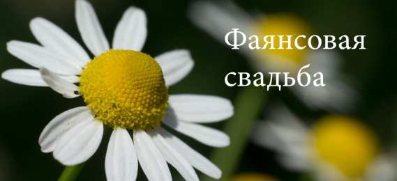 Открытки на Фаянсовую/Ромашковую свадьбу 9 лет Открытки на Фаянсовую/Ромашковую свадьбу 9 лет скачать бесплатно.