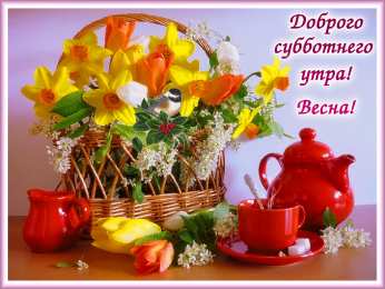 Открытки на субботу Интересные открытки на субботу. Веселые открытки на выходные.