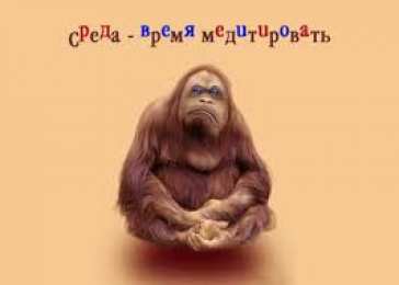 Открытки на среду Открытки с пожеланиями отличной среды. Красивые открытки на среду.