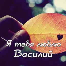 Открытки с именем Василий Анимационные открытки с именем Василий. Открытки с днём рождения Вася.