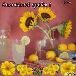 Открытки на среду Открытки с пожеланиями отличной среды. Красивые открытки на среду.