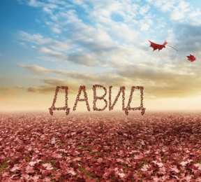 Открытки с именем Давид Открытки с именем Давид скачать бесплатно. Открытки с именем Давид gif.