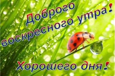 Открытки на воскресенье Мерцающие открытки про воскресенье. Открытки на воскресное утро.