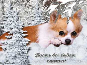 Открытки все будет хорошо Веселые открытки с пожеланиями все будет хорошо скачать бесплатно.