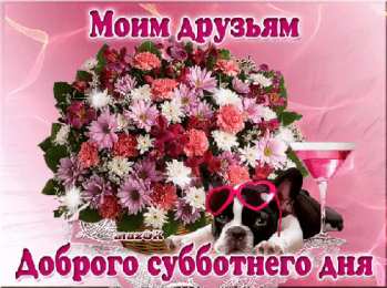 Открытки на субботу Интересные открытки на субботу. Веселые открытки на выходные.