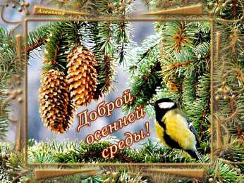 Открытки на среду Открытки с пожеланиями отличной среды. Красивые открытки на среду.