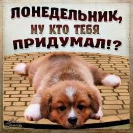 Открытки на понедельник Открытки с пожеланиями легкого понедельника скачать бесплатно.