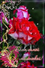 Открытки с цветами Открытки с полевыми цветами. Красивые открытки с цветами с пожеланиями. 