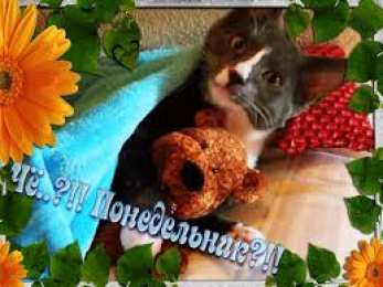 Открытки на понедельник Открытки с пожеланиями легкого понедельника скачать бесплатно.
