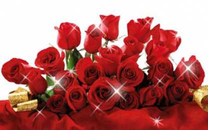 Открытки с цветами Красивые анимационные открытки с цветами на любой вкус бесплатно.