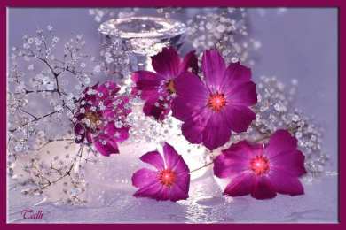 Открытки с цветами Красивые анимационные открытки с цветами на любой вкус бесплатно.