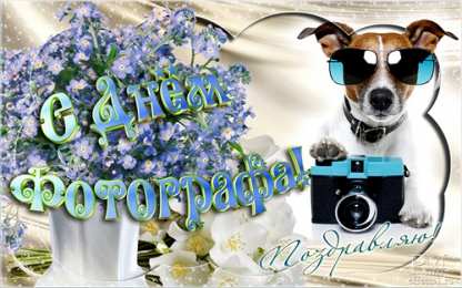 Открытки с днем фотографа Поздравительные открытки с днем фотографа скачать бесплатно.