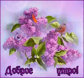 Открытки с добрым утром Открытка с пожеланиями доброго утра на каждый день скачать бесплатно 