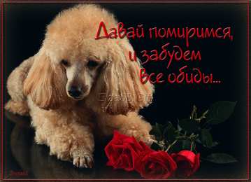 Открытки давай мириться Электронные открытки давай помиримся скачать бесплатно.     