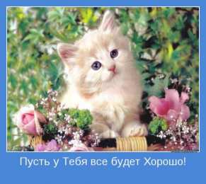 Открытки все будет хорошо Веселые открытки с пожеланиями все будет хорошо скачать бесплатно.