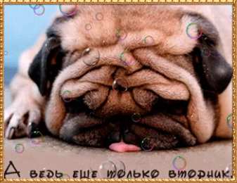 Открытки Открытки на вторник Позитивные открытки на вторник. Картинки про вторник скачать бесплатно. Прикольные открытки на вторник. Красивые открытки на вторник. Картинки на вторник скачать бесплатно гиф. Открытки с пожеланиями на вторник. Отличного утра вторник открытки.