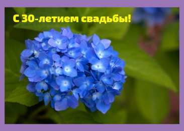Открытки Открытки на Жемчужную свадьбу 30 лет Открытки на Жемчужную свадьбу 30 лет родителям скачать бесплатно. Поздравление коллеге с днем свадьбы 30 лет. Бесплатные открытки с надписью 30 лет нашей семье с цветами. Открытки с годовщиной свадьбы 30 лет скачать бесплатно. Поздравления на 30 лет со дня свадьбы.