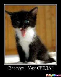 Открытки на среду Открытки с пожеланиями отличной среды. Красивые открытки на среду.