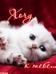 Открытки хочу к тебе Анимационные открытки хочу к тебе. Мерцающие картинки хочу к тебе.