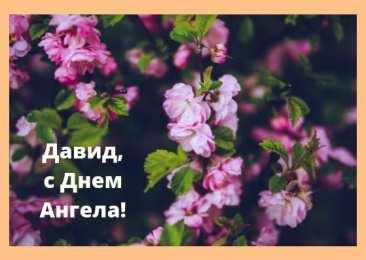 Открытки с именем Давид Открытки с именем Давид скачать бесплатно. Открытки с именем Давид gif.