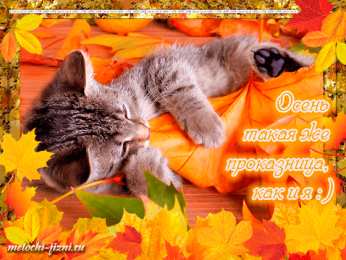 Открытки с первым днем осени Красивые анимационные открытки на первый день осени скачать бесплатно