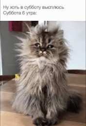 Открытки на субботу Интересные открытки на субботу. Веселые открытки на выходные.