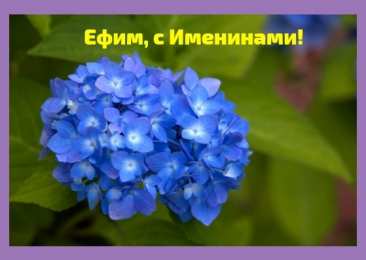 Открытки с именем Ефим Открытки с днём рождения Ефим. Открытки с именем Ефим с анимациями gif.