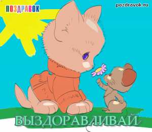 Открытки скорейшего выздоровления Открытки скорейшего выздоровления скачать бесплатно в формате gif.