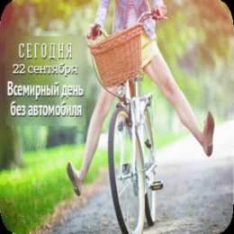 Открытки на день без автомобиля Открытки на Международный день без автомобиля скачать бесплатно.
