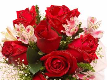 Открытки с цветами Красивые анимационные открытки с цветами на любой вкус бесплатно.