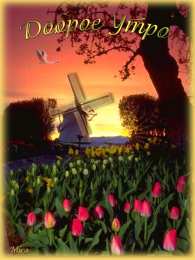 Открытки с добрым утром Открытка с пожеланиями доброго утра на каждый день скачать бесплатно 