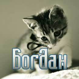 Открытки Открытки с именем Богдан Анимационные открытки с именем Богдан. Открытки с днём рождения Богдан. Открытки с днем ангела Богдан скачать бесплатно. Поздравительные картинки с пожеланиями на имя Богдан. Открытки для Богдана с анимациями. Открытки с днем рождения Богдан.