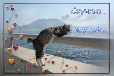 Открытки жду тебя Открытки я жду тебя gif. Открытки возвращайся скорее скачать бесплатно.