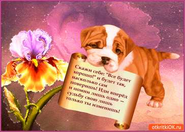 Открытки все будет хорошо Веселые открытки с пожеланиями все будет хорошо скачать бесплатно.