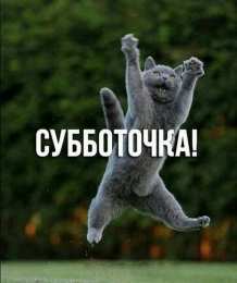 Открытки на субботу Интересные открытки на субботу. Веселые открытки на выходные. 