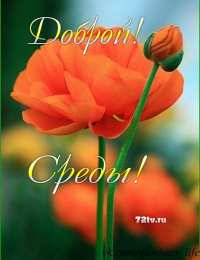 Открытки на среду Открытки с пожеланиями отличной среды. Красивые открытки на среду.