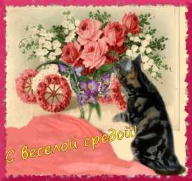 Открытки на среду Открытки с пожеланиями отличной среды. Красивые открытки на среду.