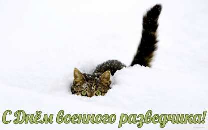 Открытки с днем военного разведчика Праздничные открытки с днем военного разведчика скачать бесплатно.