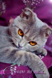 Открытки жду тебя Открытки я жду тебя gif. Открытки возвращайся скорее скачать бесплатно.