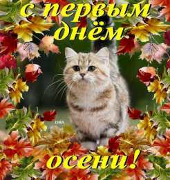 Открытки с первым днем осени Красивые анимационные открытки на первый день осени скачать бесплатно