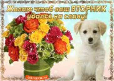 Открытки Открытки на вторник Позитивные открытки на вторник. Картинки про вторник скачать бесплатно. анимационные открытки на вторник. Открытки на каждый день недели скачать бесплатно. Картинки вторник на работу. Открытки с пожеланиями удачного вторника скачать.