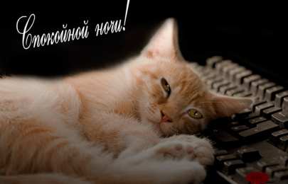 Открытки с пожеланиями на ночь Gif анимации открыток спокойной ночи. Открытки с пожеланиями на ночь.