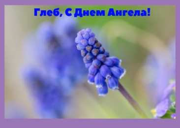 Открытки с именем Глеб Анимационные открытки с именем Глеб. Открытки с днём рождения Глеб.