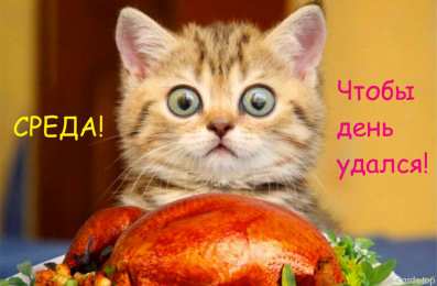 Открытки на среду Открытки с пожеланиями отличной среды. Красивые открытки на среду.