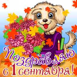 Открытки Открытки на 1 сентября Открытки с поздравлениями на день знаний скачать бесплатно.  Открытки с поздравлениями на день знаний. Поздравление в стихах с началом учебного года. Открытки с поздравлениями на день знаний gif. Красивые пожелания на 1 сентября. Поздравительные открытки на 1 сентября скачать бесплатно.