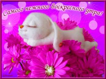 Открытки на воскресенье Мерцающие открытки про воскресенье. Открытки на воскресное утро.